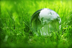 Glass globe in the grass concept for environment and conservation
